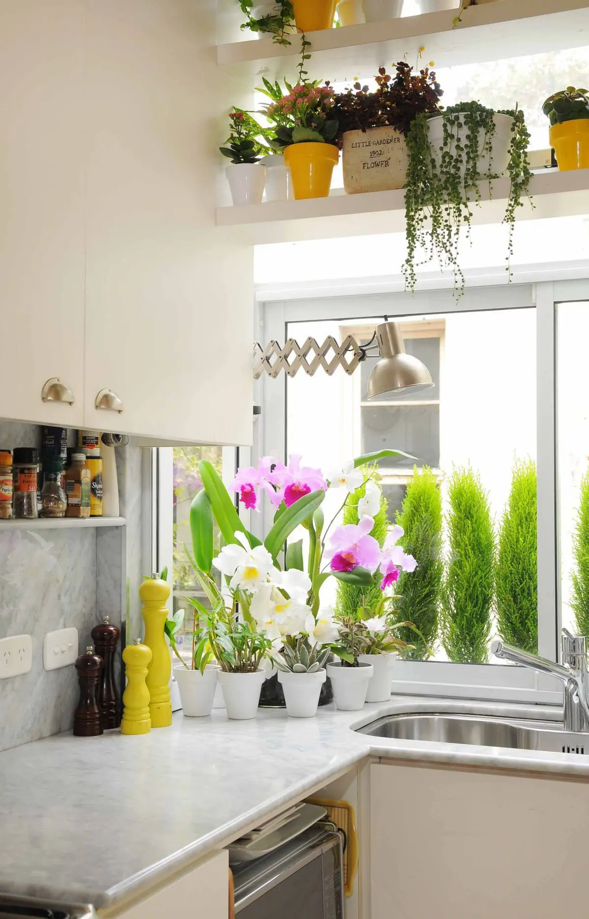 Cocina blanca minimalista con plantas colgantes y flores junto ventanal — proyecto Santa Fe, por Estudio Diez Muzzio, en CABA