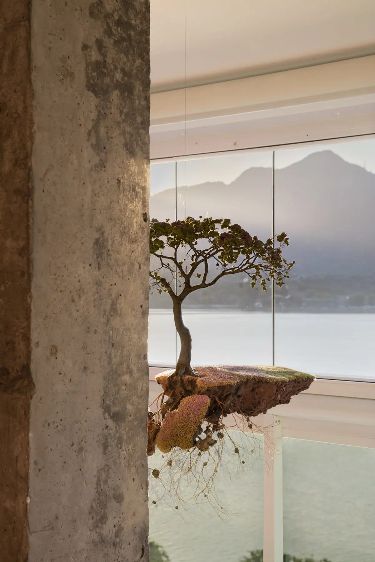 Bonsái sobre roca colgante frente a ventanal con vistas al lago — proyecto RM House, por Studio Ro-ca