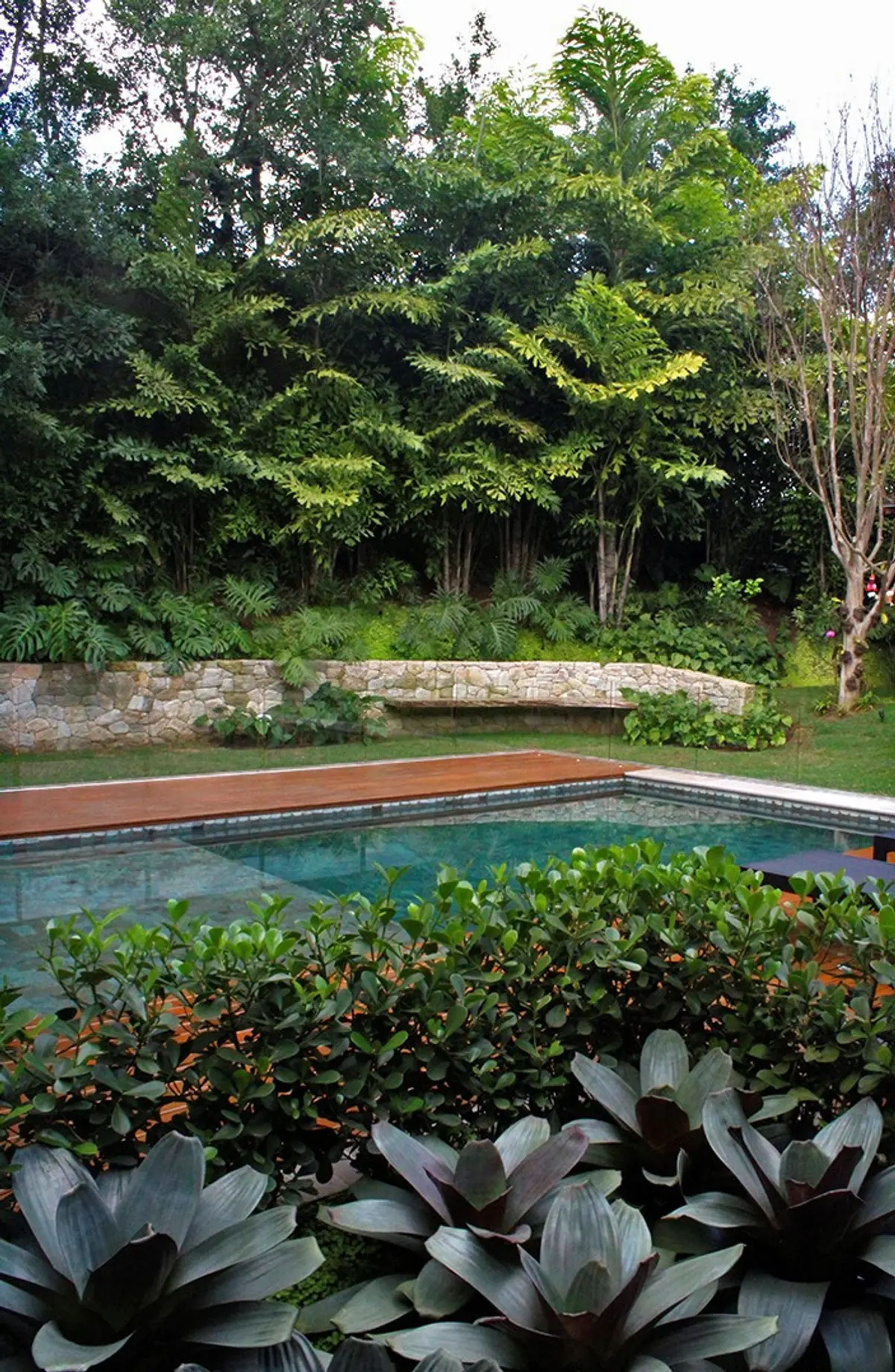 Pileta moderna rodeada de frondoso jardín y plantas acuáticas — proyecto Residência JB, por Gil Fialho
