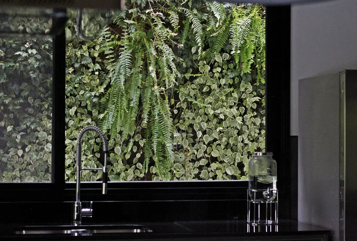 Cocina moderna con muro verde vivo y ventanal hacia jardin vertical — proyecto Residência VT, por Gil Fialho