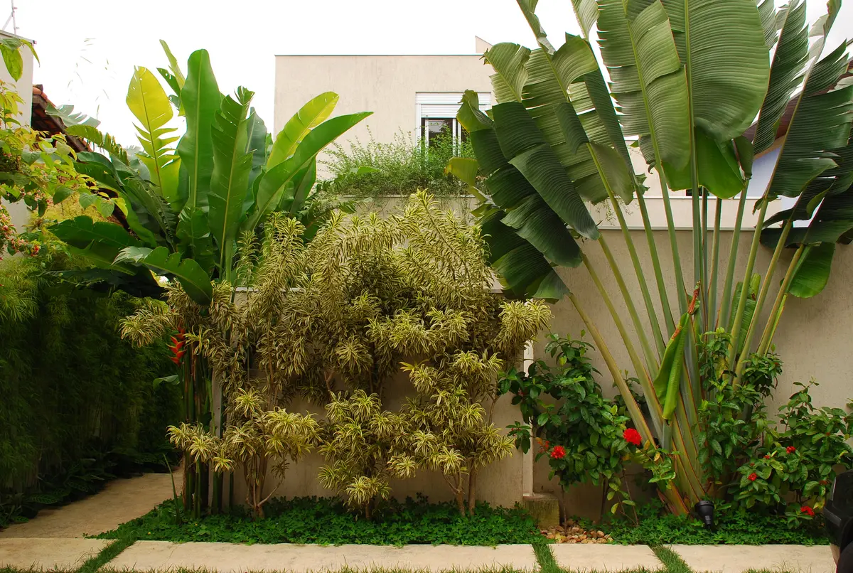 Patio con plantas tropicales y muro verde, estilo contemporáneo minimalista — proyecto Residência LP, por Gil Fialho