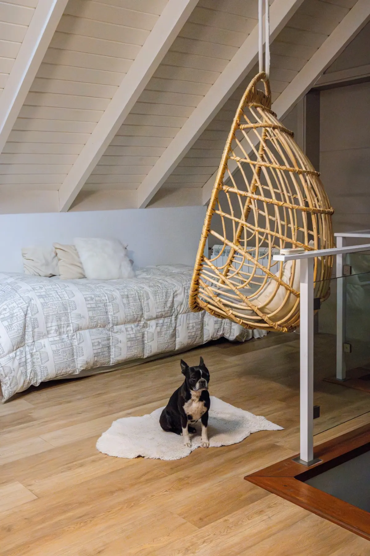 dormitorio con silla colgante de mimbre y perro Boston Terrier — proyecto Proyecto Altillo, por efe arquitectura, en Ciudad de Córdoba