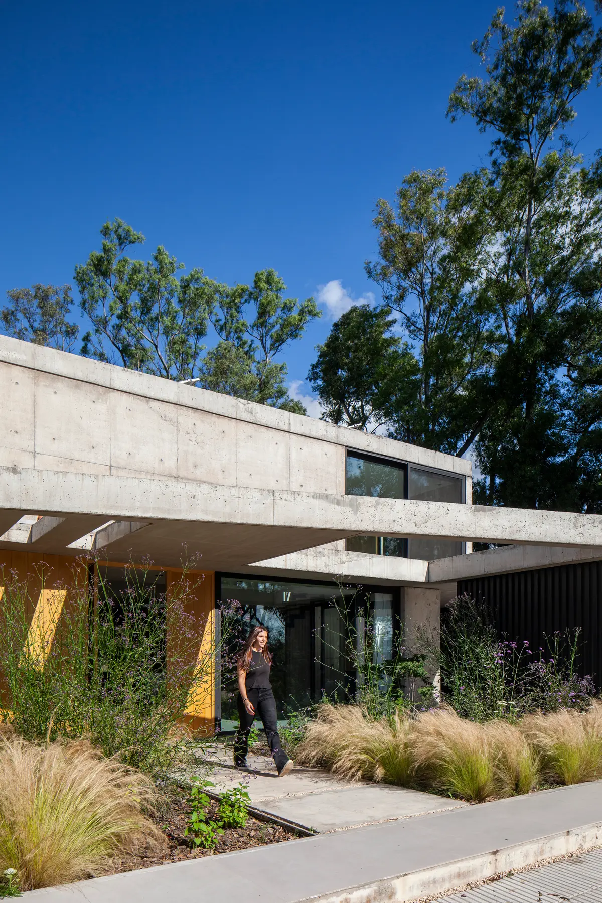 Casa moderna de concreto com vegetação integrada e linhas definidas — projeto Casa ALVA, por V2 Arquitectos, em City Bell
