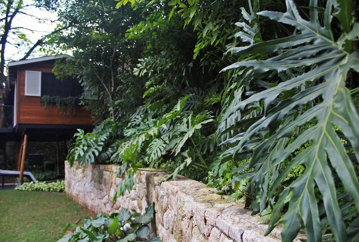 Patio con muros de piedra, vegetación exuberante y caseta roja de fondo — proyecto Residência JB, por Gil Fialho