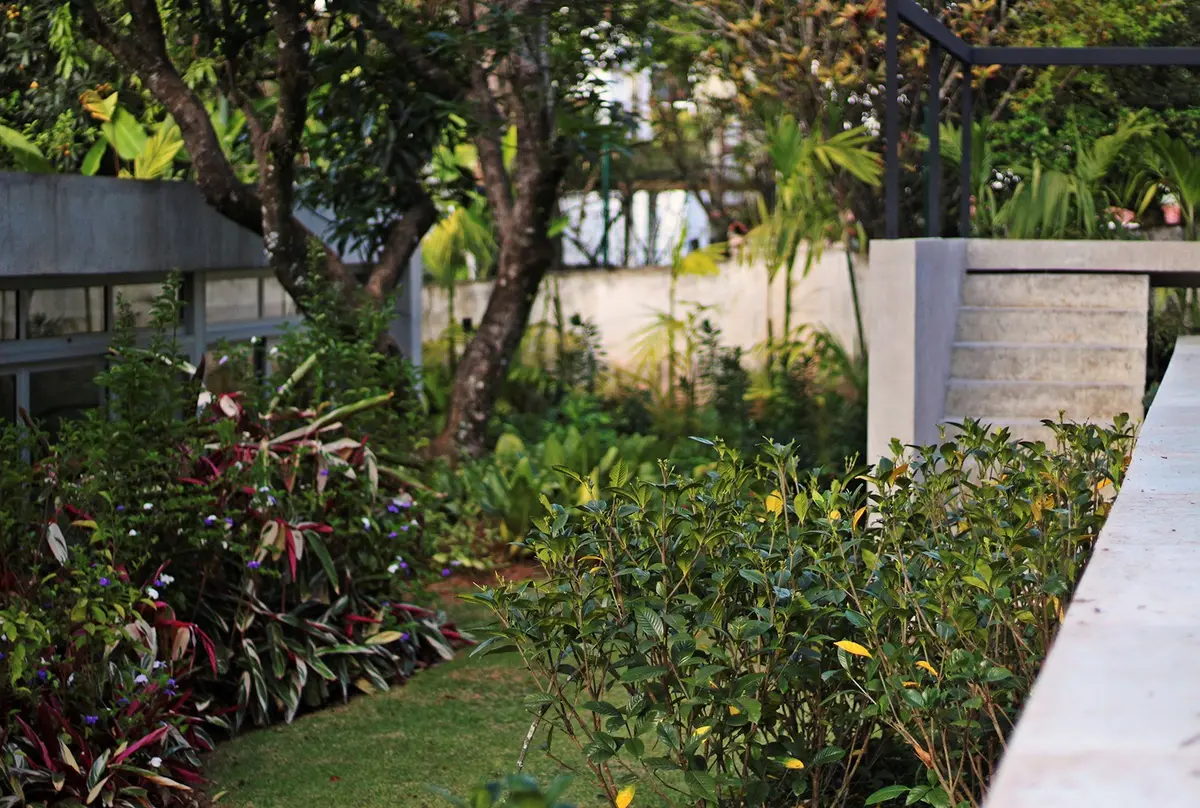 Patio moderno con jardín, pergola y muro hormigón — proyecto Residência CM, por Gil Fialho