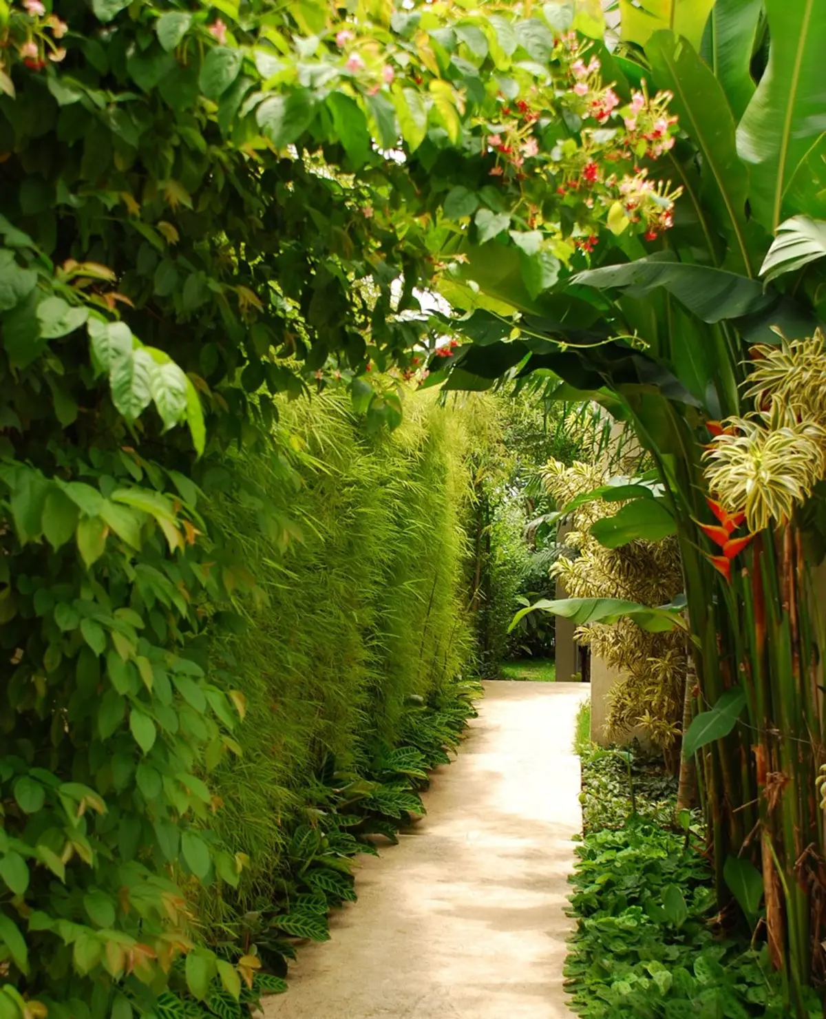 Pasaje ajardinado con pergola cubierta de enredaderas y flores — proyecto Residência LP, por Gil Fialho