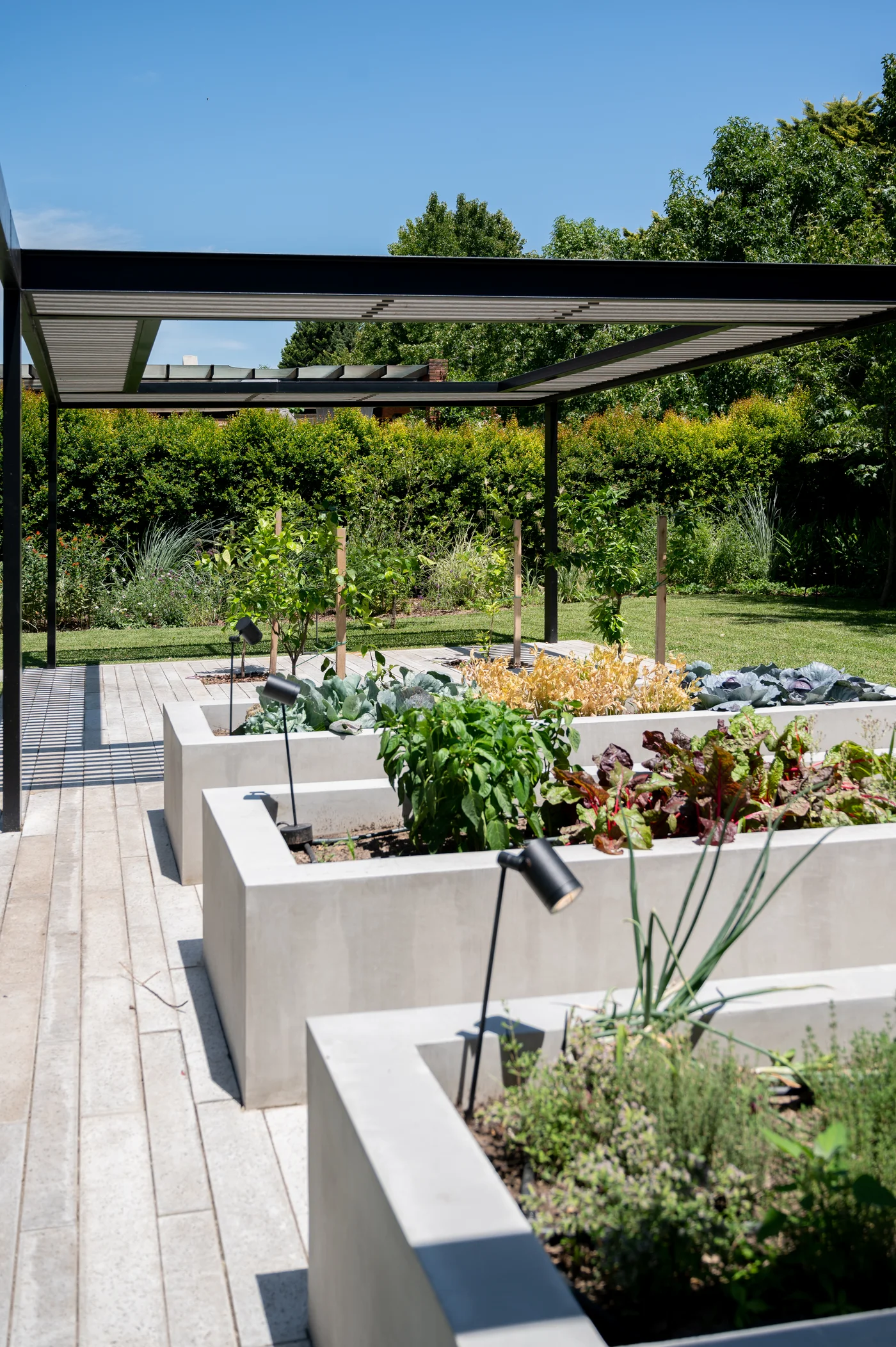 jardín moderno con pérgola y huerto elevado