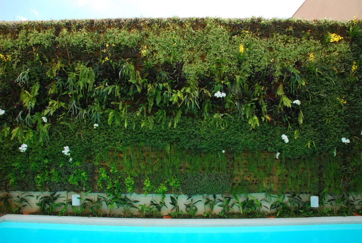 Patio con pileta turquesa y muro verde vertical con flores — proyecto Residência EC, por Gil Fialho