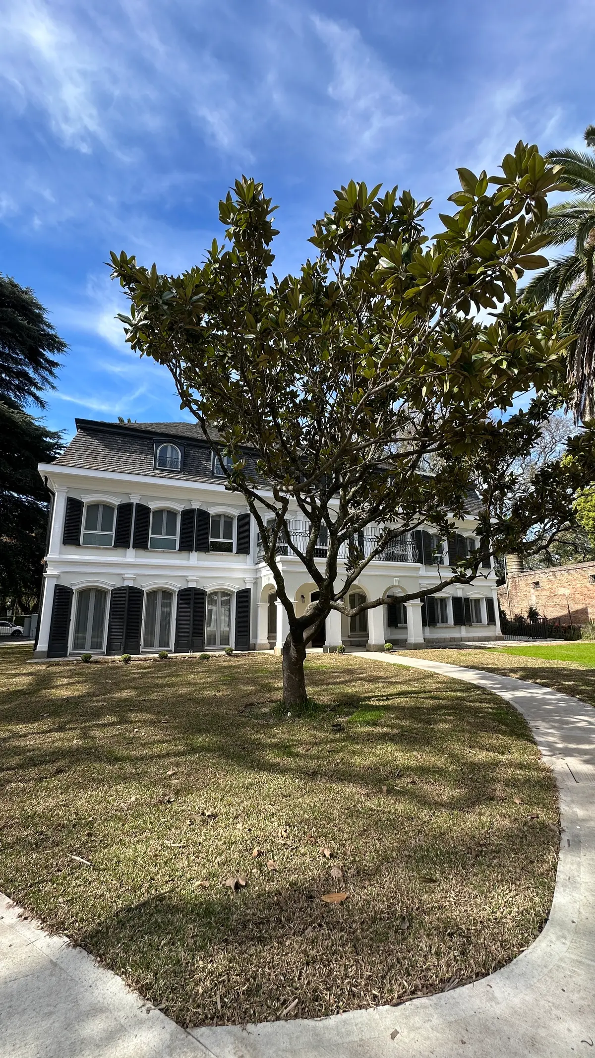 Casa clásica blanca con árbol grande en patio frontal soleado — proyecto Geriátrico San Isidro - Piso Radiante, por Climatizacion HD, en Buenos Aires