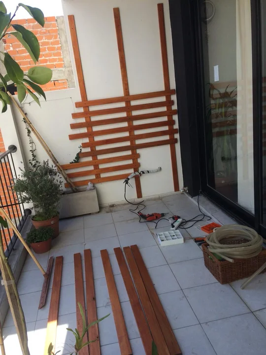 Foto del proyecto