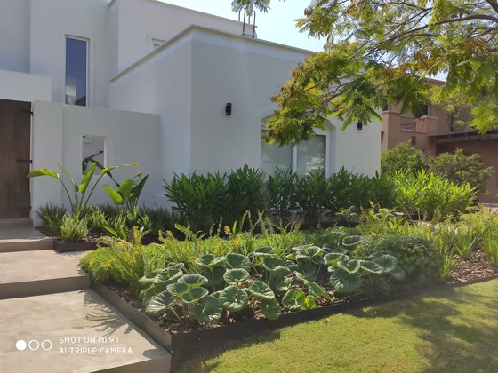 jardin