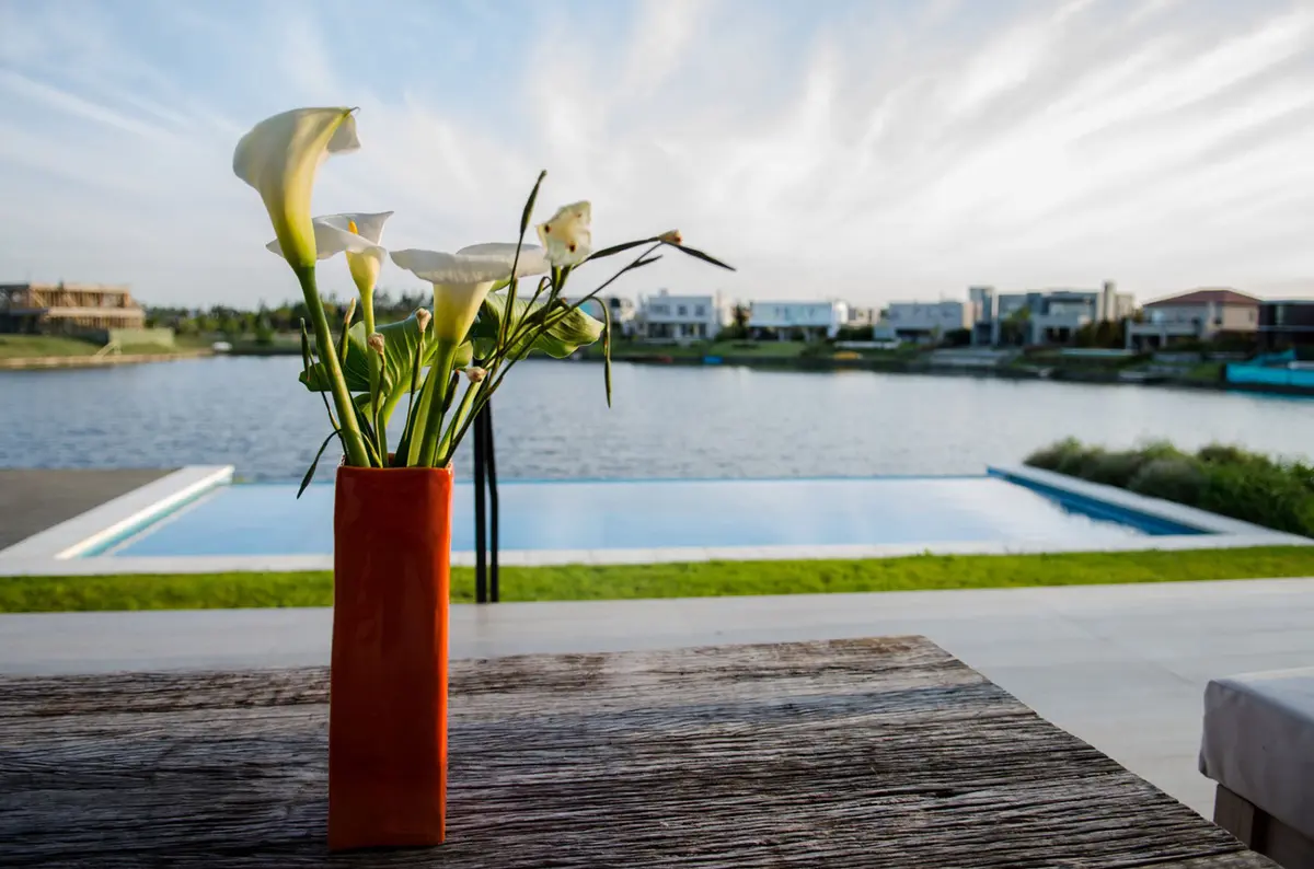 Piscina moderna con vegetación y flores, estilo mediterráneo — proyecto Casa Nordelta, por linearecta.arquitectura, en Nordelta