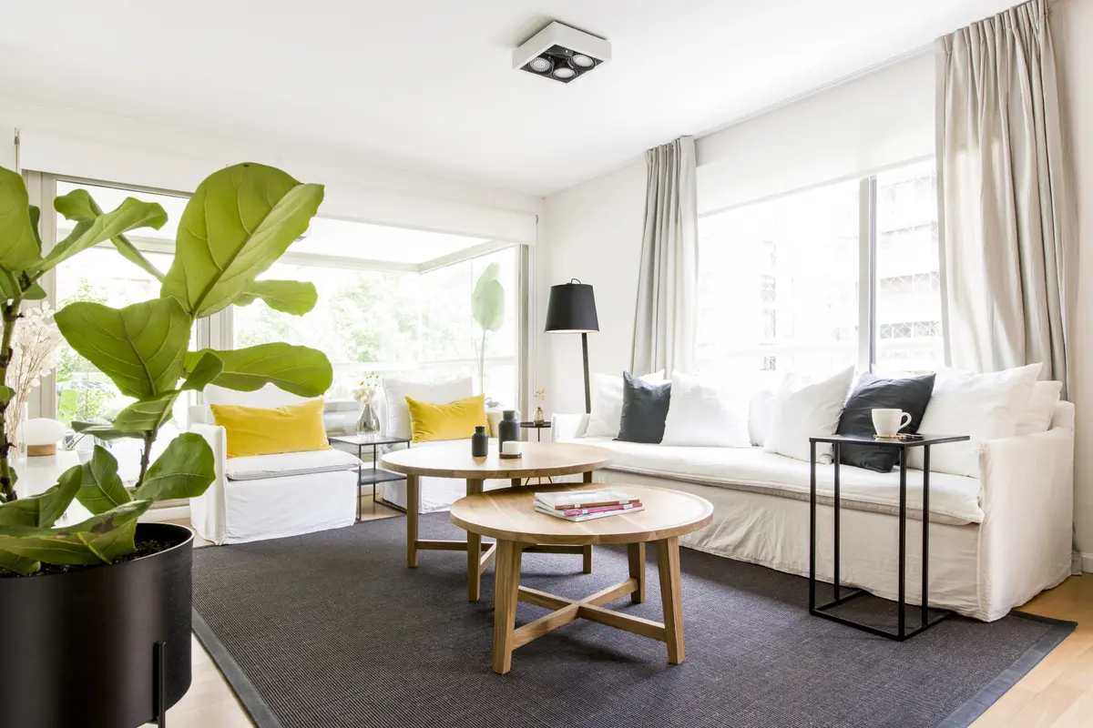 Sala de estar escandinava moderna com janelas do chão ao teto e planta grande — projeto 11 de Septiembre, por Estudio Plok