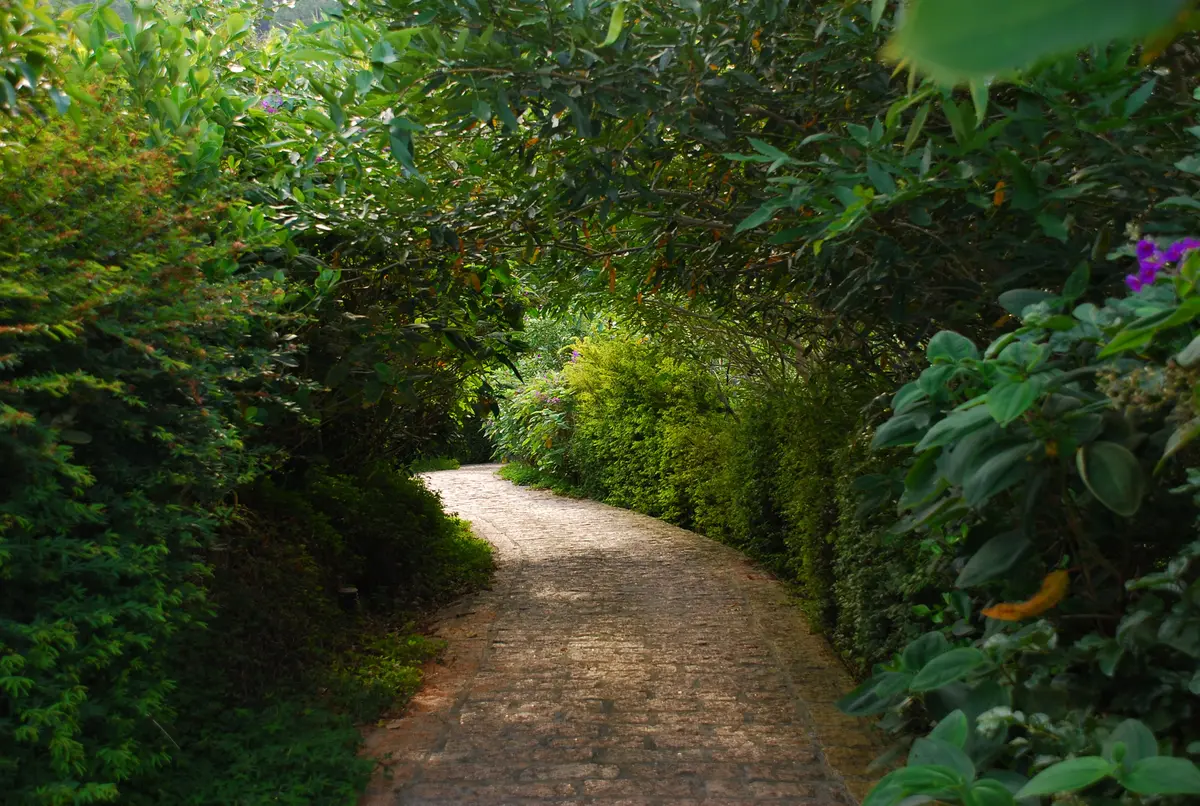 Sendero de piedra entre setos verdes y flores silvestres — proyecto Fazenda Indaiauba, por Gil Fialho