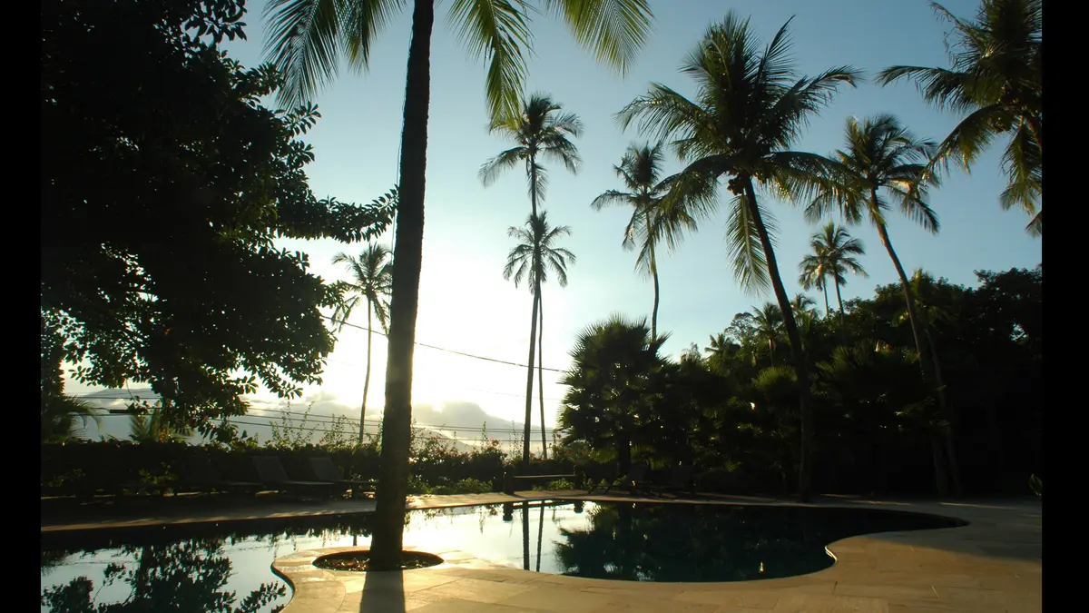 Paisaje tropical con palmeras, espejo de agua y vegetacion exuberante — proyecto Residência RC, por Gil Fialho