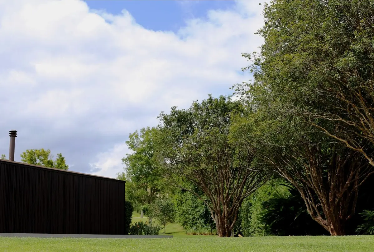 Galería negra junto a árboles grandes en jardín verde luminoso — proyecto Residência CA, por Gil Fialho