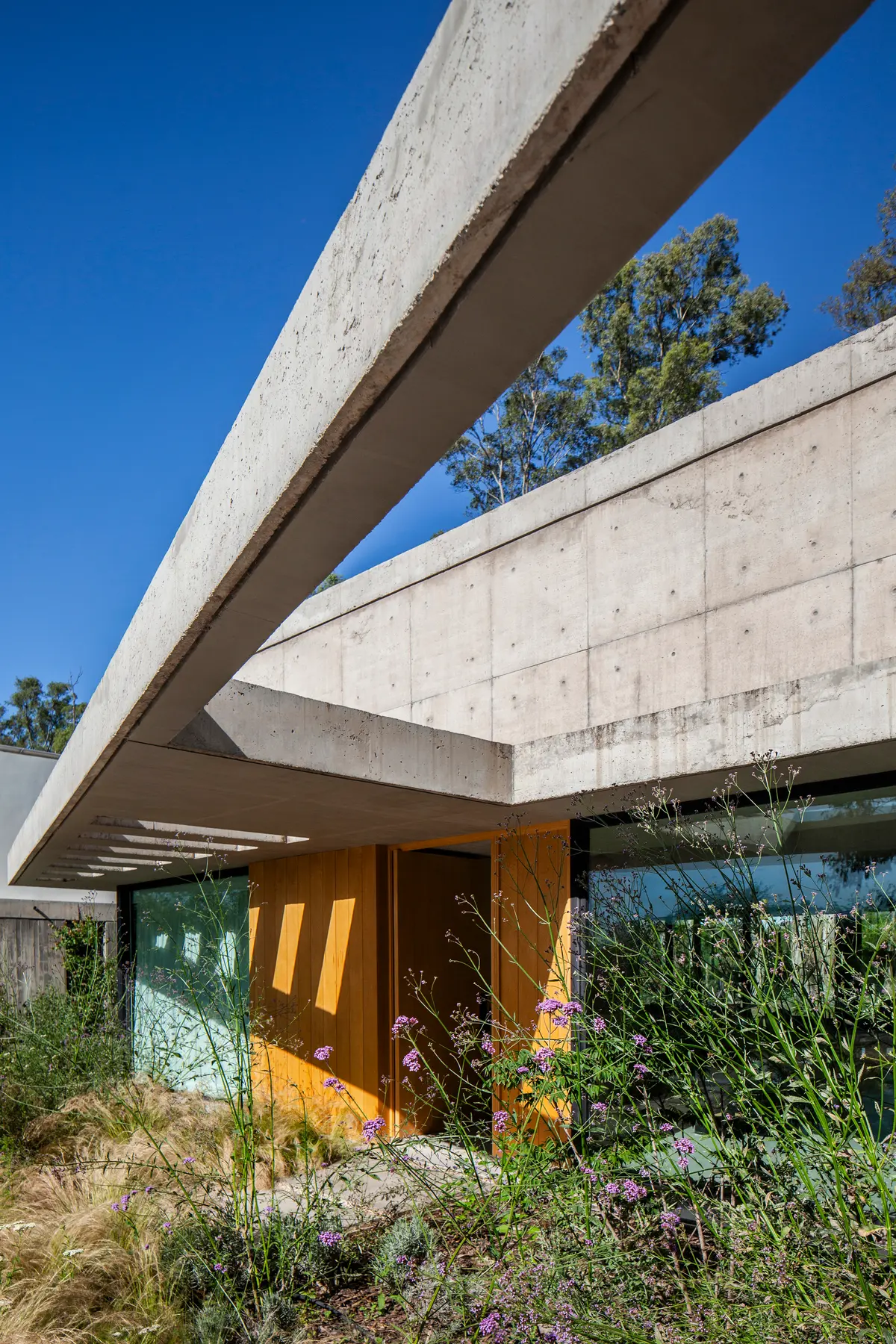 Fachada moderna com concreto aparente e vegetação exuberante — projeto Casa ALVA, por V2 Arquitectos, em City Bell