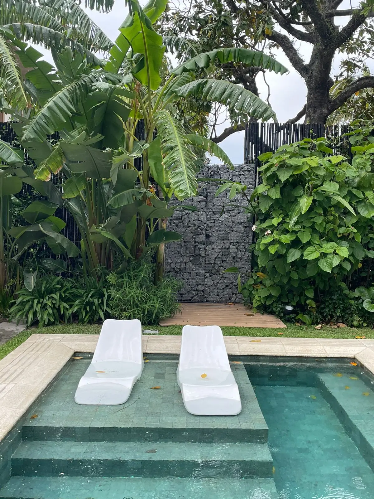 Area de piscina con tumbonas modernas y vegetación tropical exuberante — proyecto Ladislao_EA, por Eugenia Anaya -estudio de paisajismo-, en B1641 Acassuso
