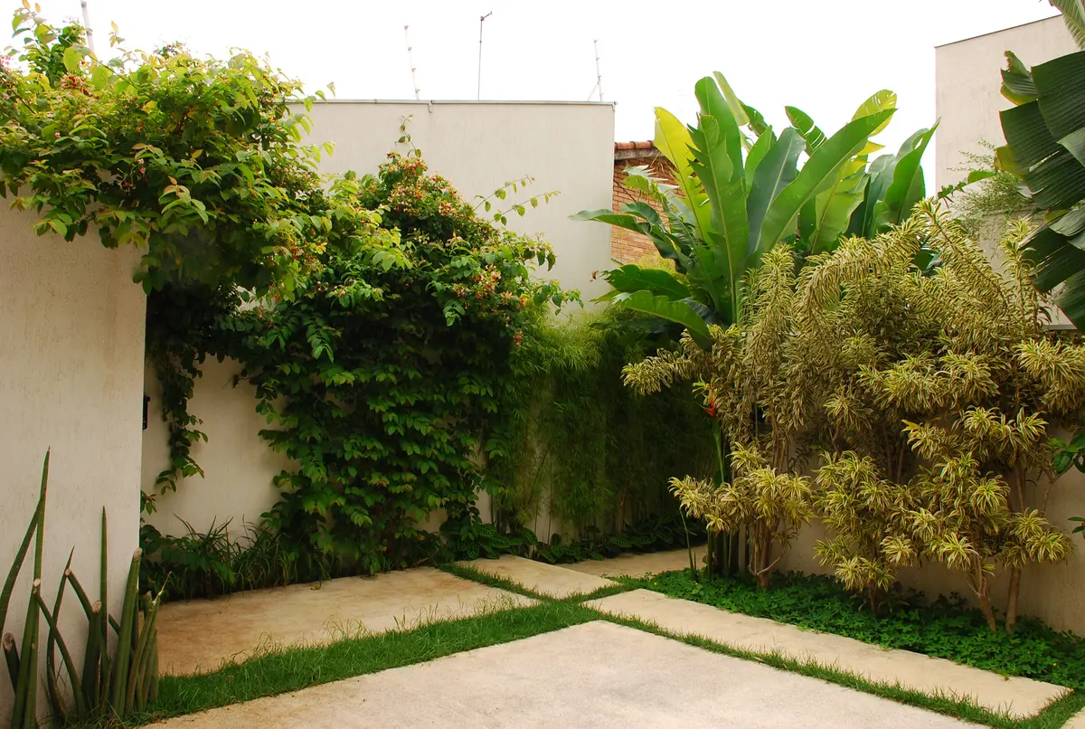 Patio moderno con jardineras verticales, sendero de piedra y plantas verdes — proyecto Residência LP, por Gil Fialho