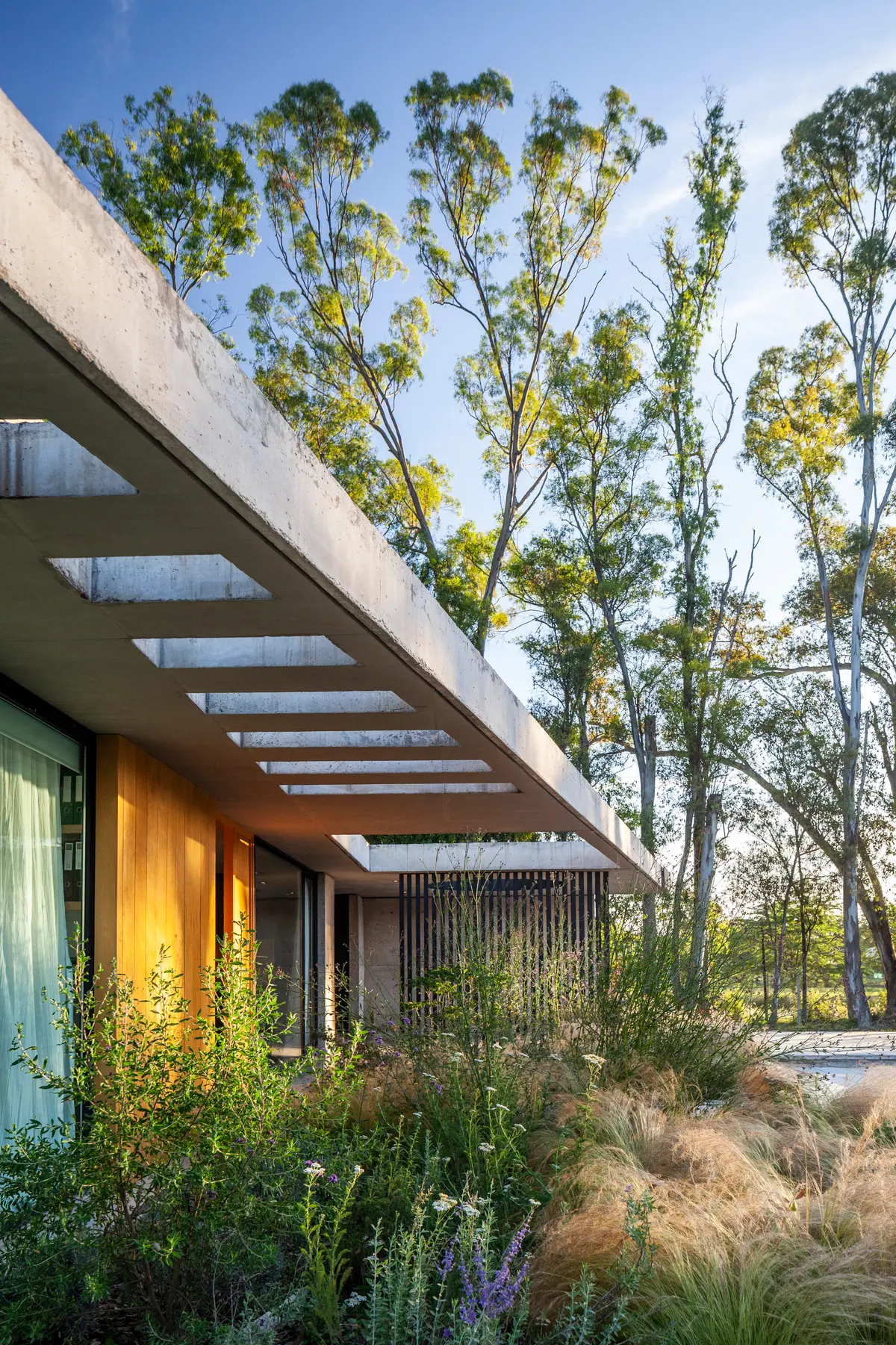 Fachada moderna com beiral de concreto e claraboias translúcidas integradas à vegetação — projeto Casa ALVA, por V2 Arquitectos, em City Bell