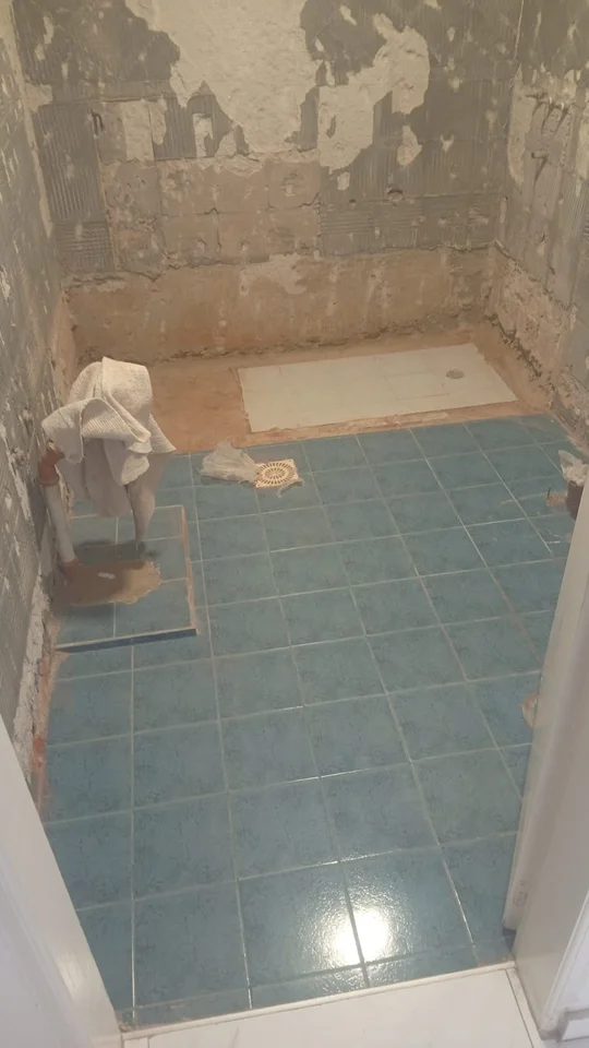 Foto del proyecto