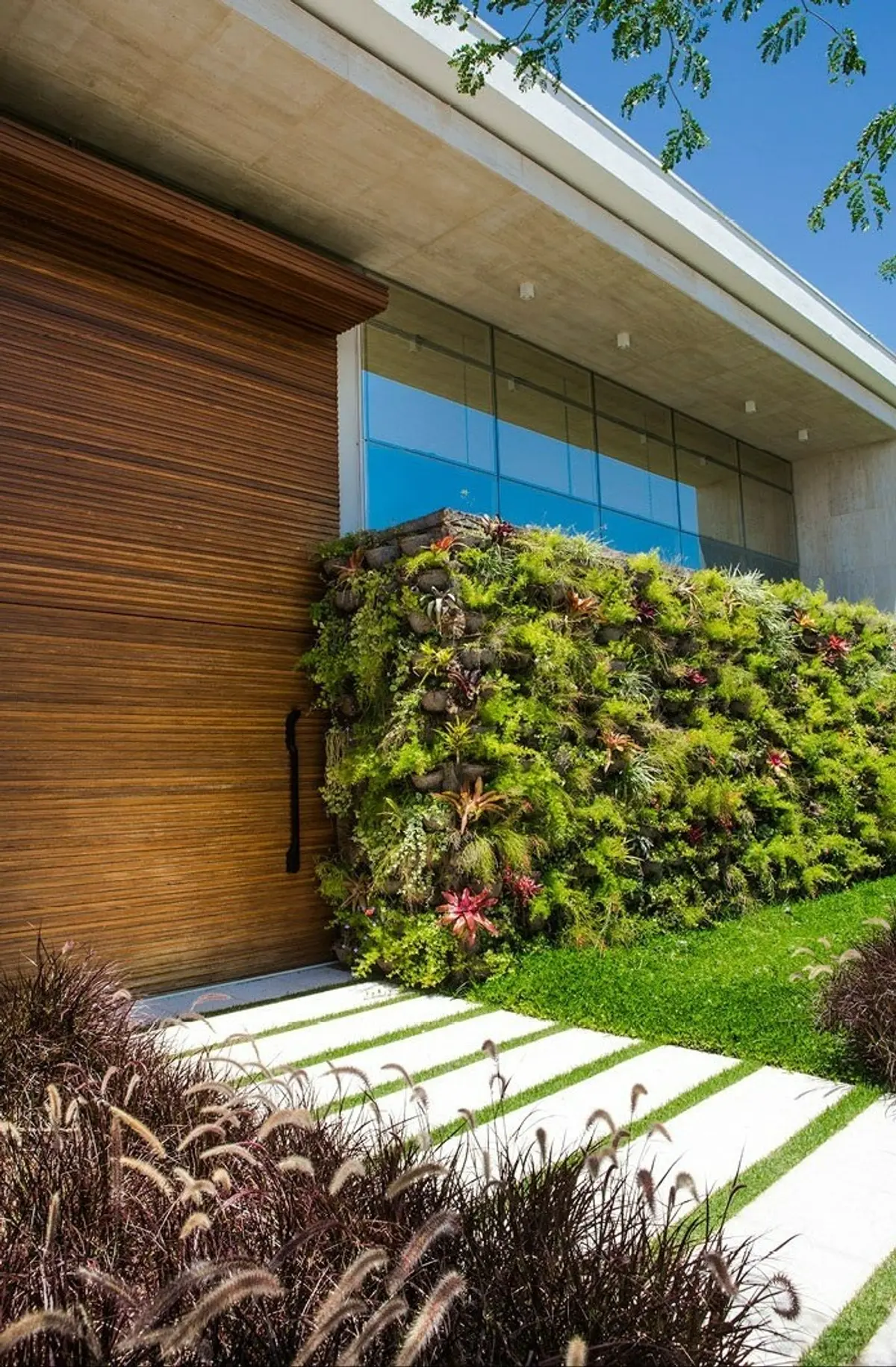 Casa moderna con puerta de madera, jardin vertical y ventanal azul — proyecto Paisagismo, por Demian Golovaty