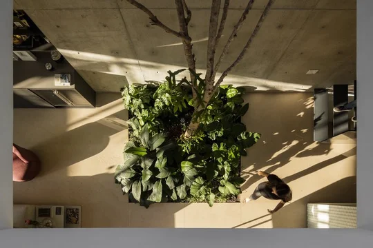 Foto del proyecto