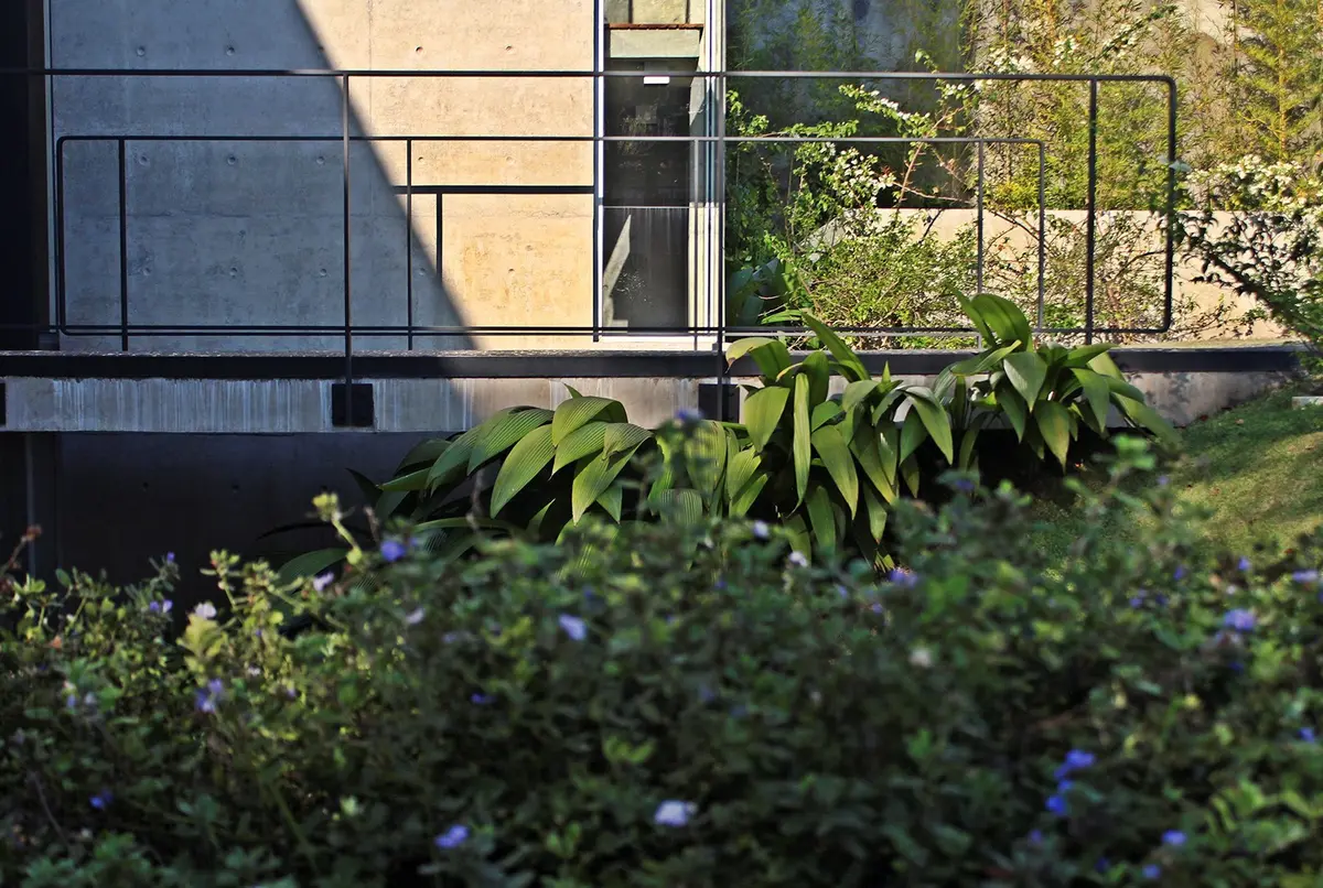 Patio con jardinería y arquitectura moderna minimalista — proyecto Residência CM, por Gil Fialho