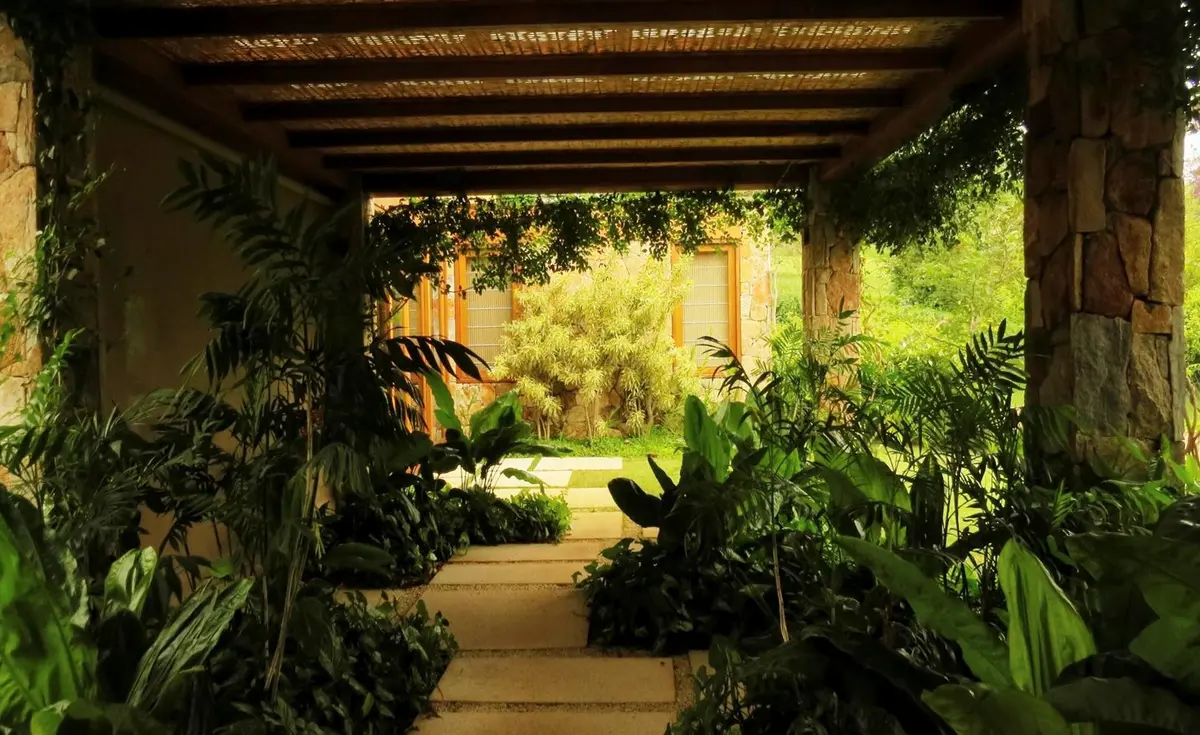 Galería con pergola de madera y plantas en ambos lados — proyecto Residência VL, por Gil Fialho