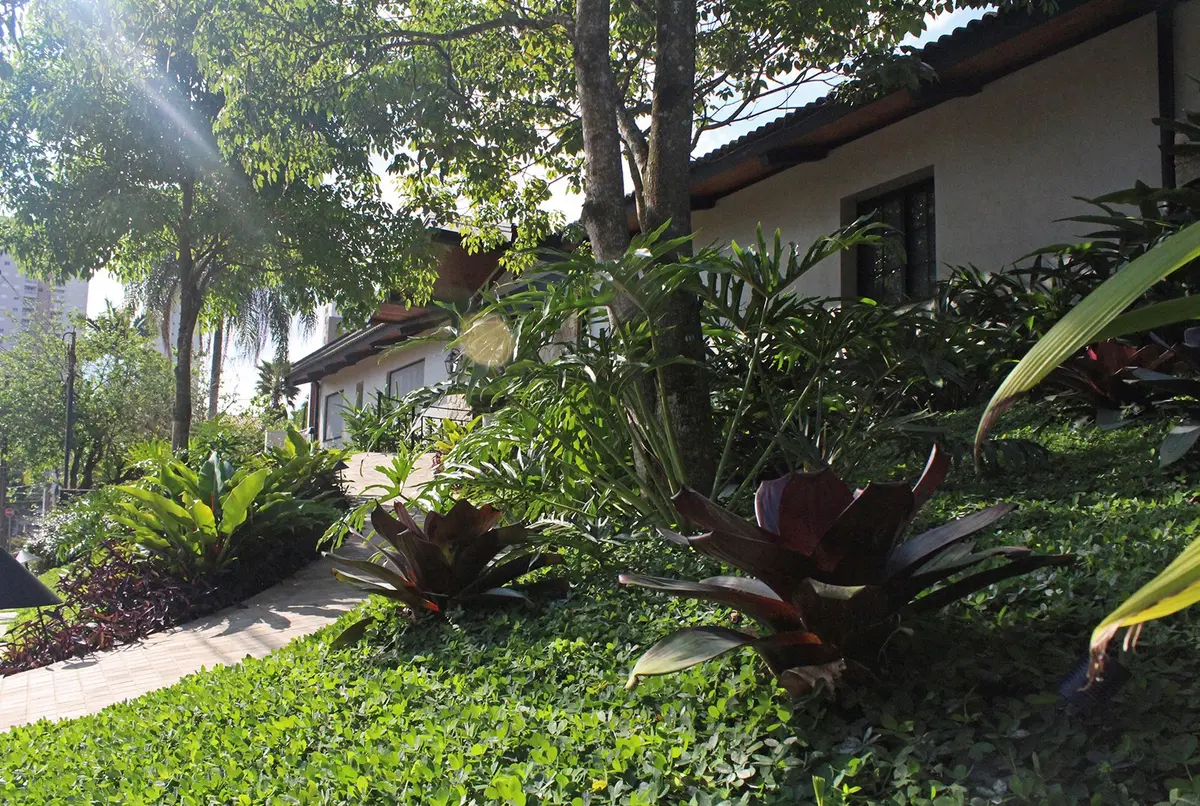Jardín tropical con plantas exóticas y pergola junto a casa moderna — proyecto Residência JB, por Gil Fialho