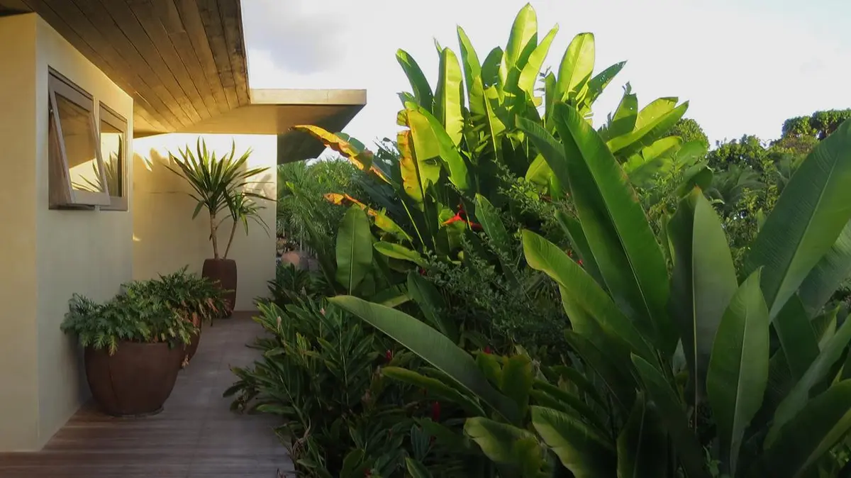 Terraza moderna con plantas verdes y iluminación nocturna — proyecto Trancoso II, por Gil Fialho