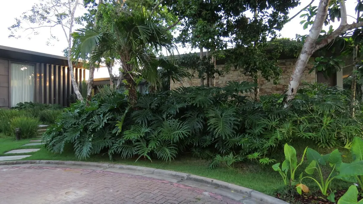 Patio con jardín tropical, plantas frondosas y sendero de piedras — proyecto Trancoso II, por Gil Fialho