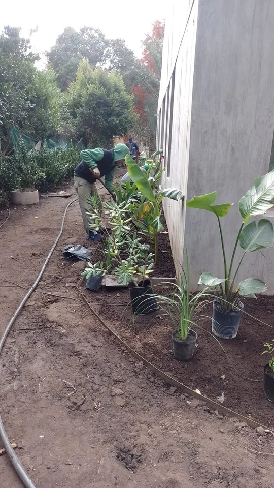 Foto del proyecto