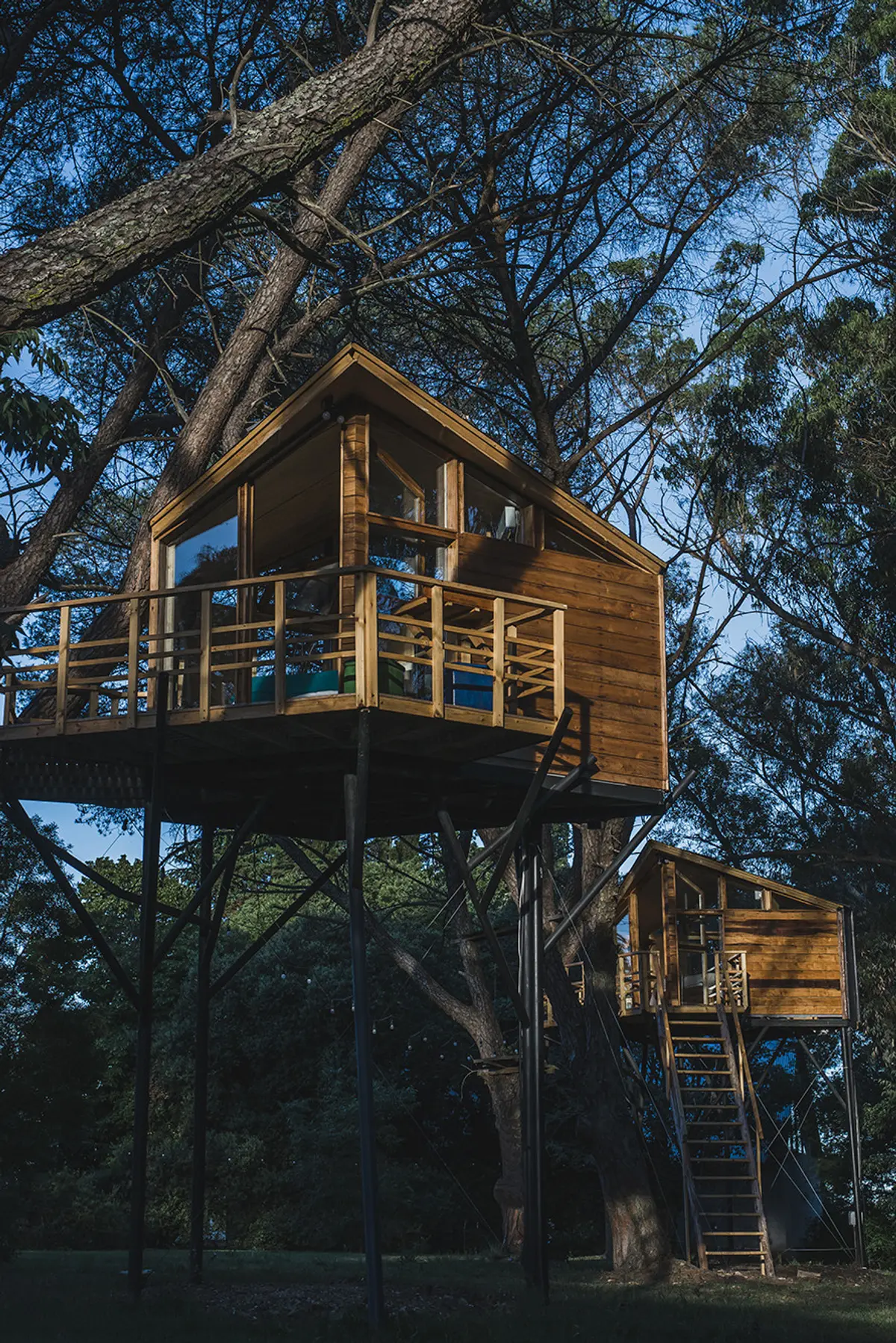 Casa en árbol de madera con terraza y escalera metálica — proyecto Tree House-ELENA, por Wompa, en Tandil