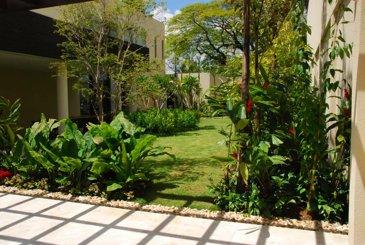 Patio con jardín verde, deck de madera y plantas trepadoras — proyecto Residência EC, por Gil Fialho