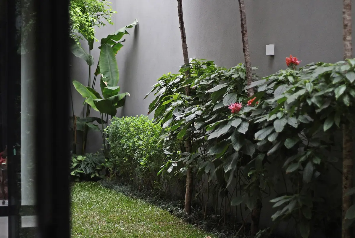 Patio lateral con jardinera de flores rosas y plantas verdes — proyecto Residência HC, por Gil Fialho