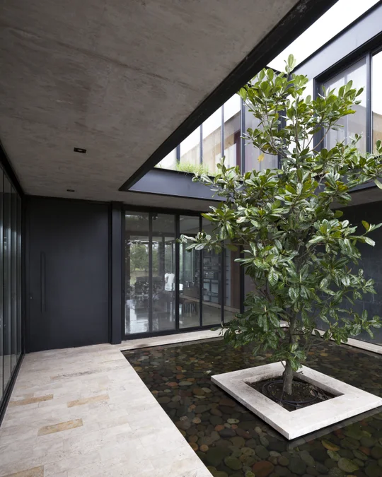 Foto del proyecto