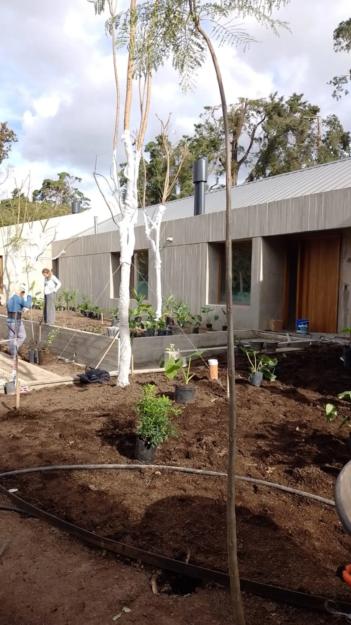 Jardim moderno em construção com casa de concreto — projeto Martindale, por Jor Yesari - Jardinería y Paisajismo, em Pilar
