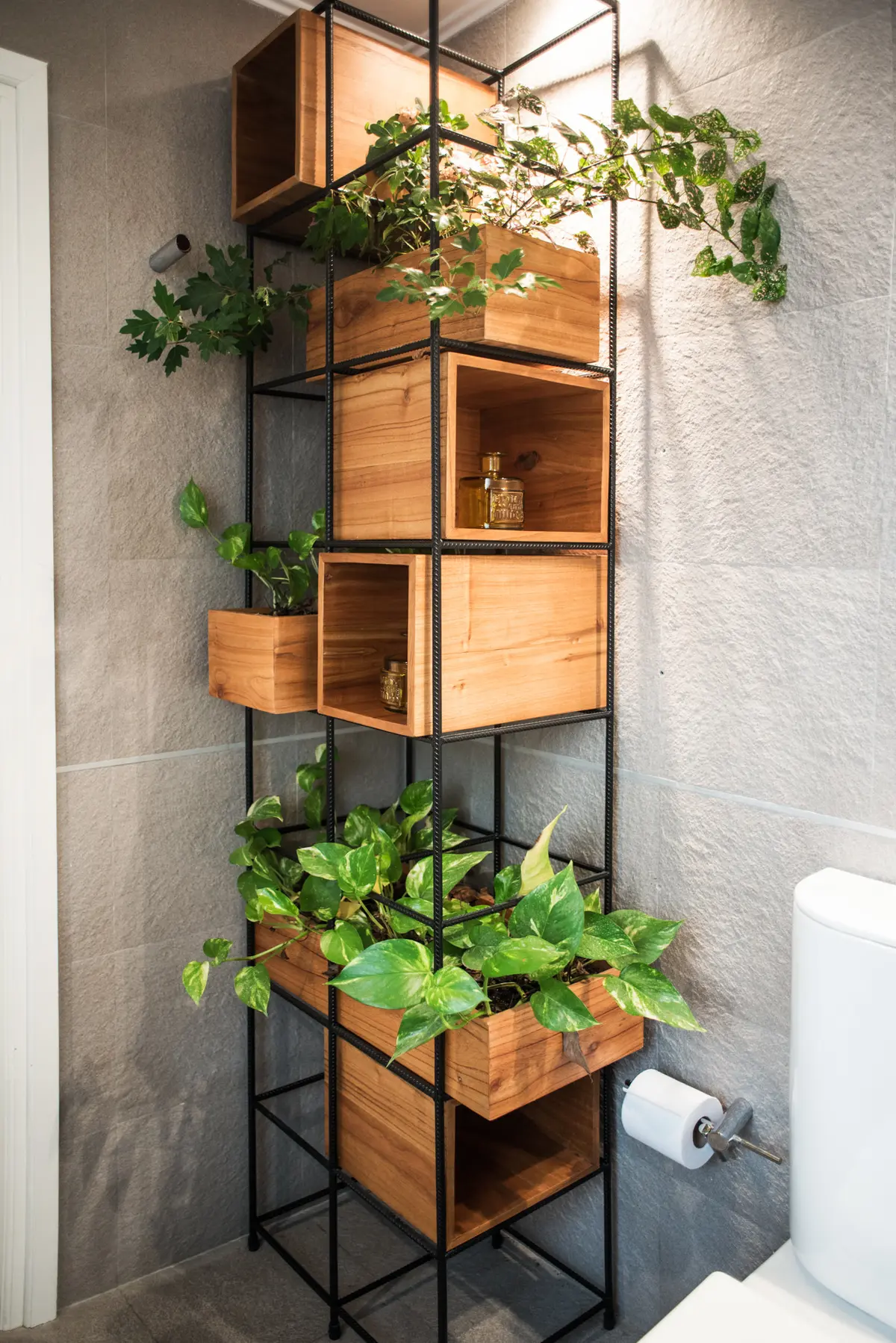 Estantería vertical de plantas en baño moderno con paredes de piedra — proyecto Defensa, por Estudio Basa, en CABA