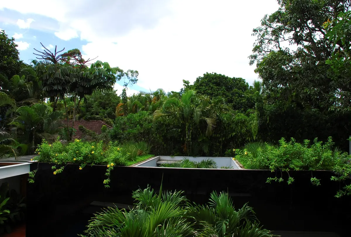 Patio jardín contemporáneo con pileta y vegetación exuberante — proyecto Residência MI, por Gil Fialho