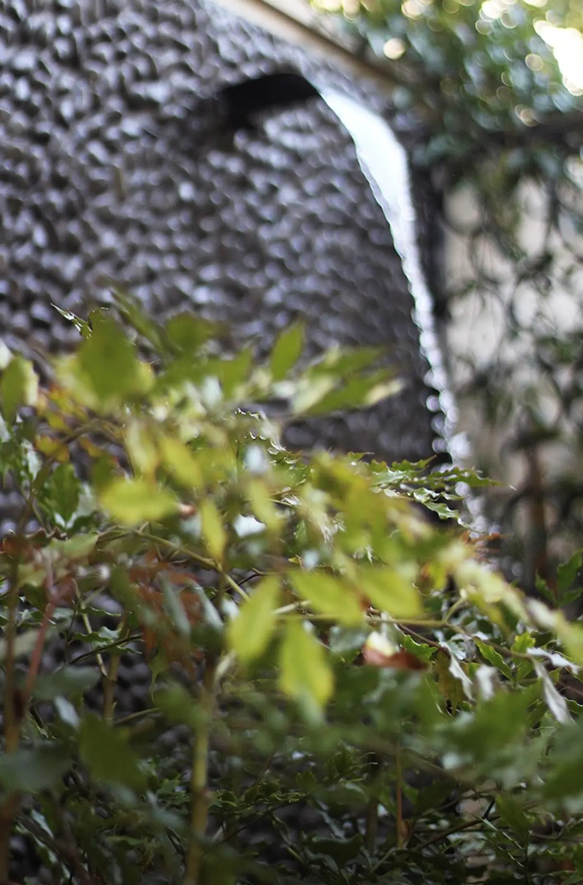 detalle de plantas verdes y piedra de jardin exterior — proyecto Residência JB, por Gil Fialho