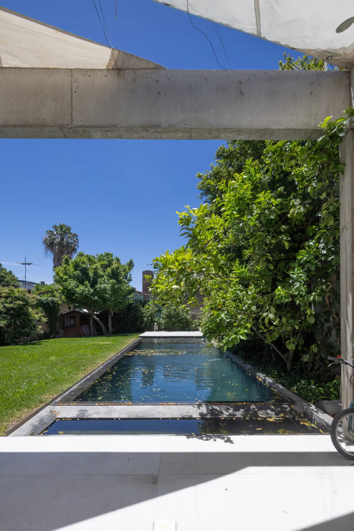 Piscina exterior moderna con pérgola de hormigón y jardín frondoso — proyecto CASA OrBa, por Alfredo Orfila arquitectura, en San Isidro