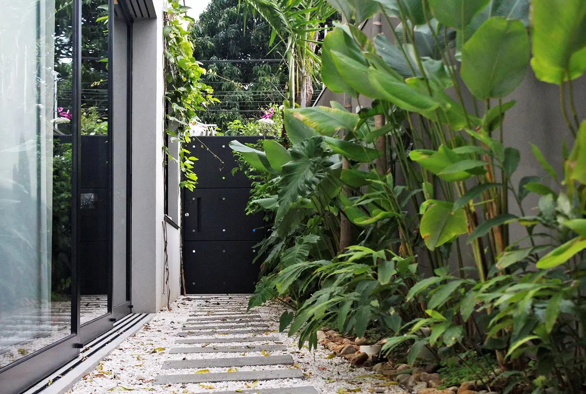 Pasillo exterior con puerta negra y vegetación exuberante a los lados — proyecto Residência HC, por Gil Fialho