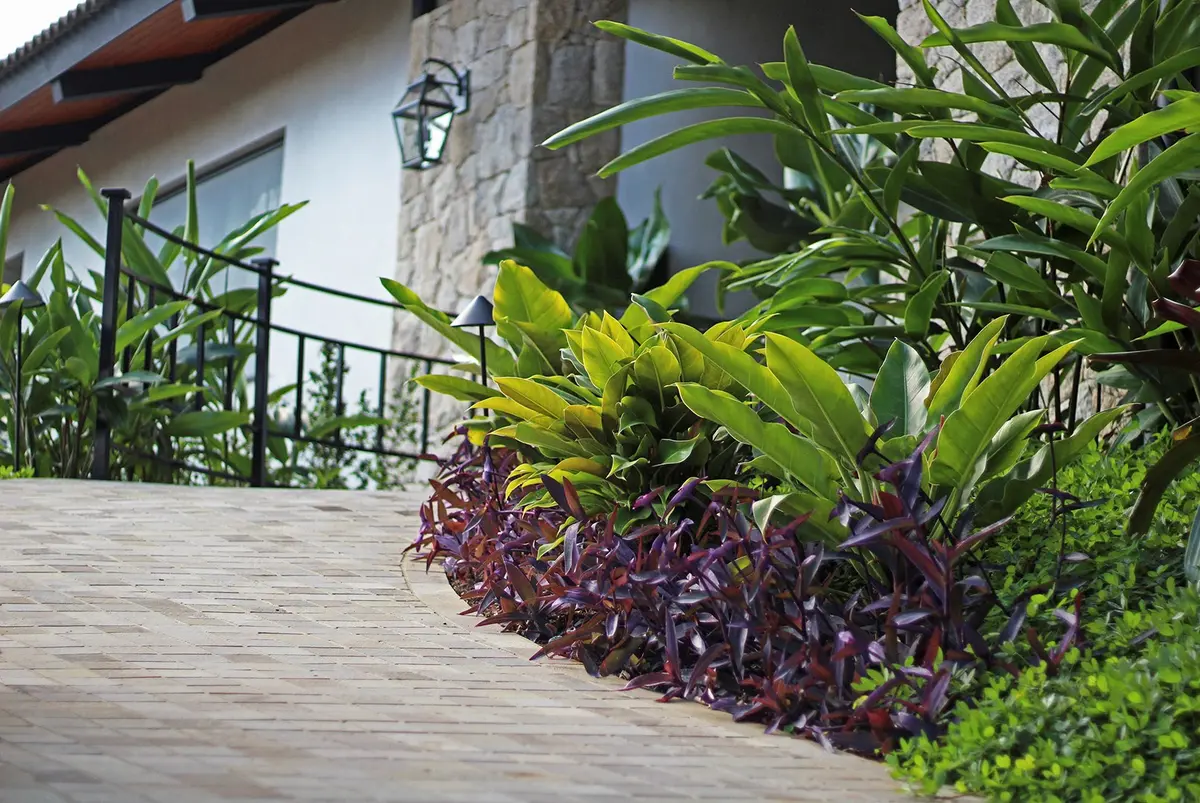 Terraza de madera con plantas ornamentales y barandal de hierro negro — proyecto Residência JB, por Gil Fialho
