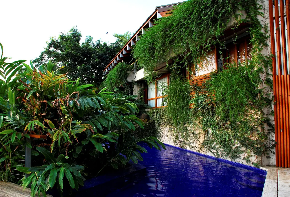 Patio con pared cubierta de enredadera y pileta azul — proyecto Residência TH, por Gil Fialho