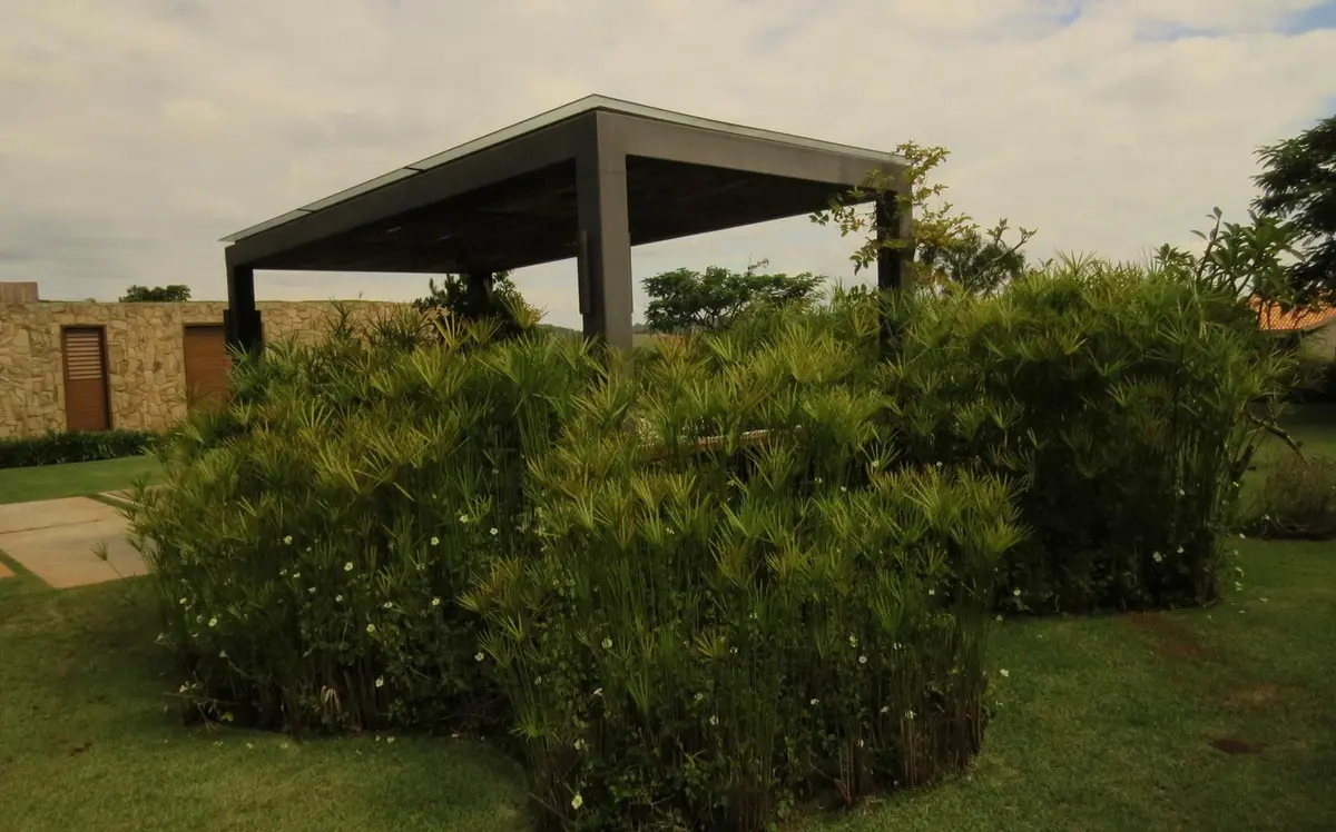 Pergola moderna hormigon con jardin y vegetacion frondosa — proyecto Residencia PZ, por Gil Fialho