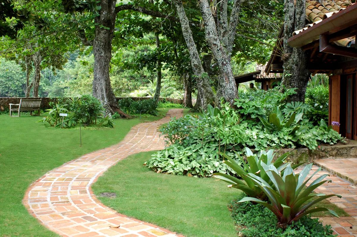 Jardin campestre con sendero de ladrillo curvo entre arboles y plantas exuberantes — proyecto Fazenda Indaiauba, por Gil Fialho