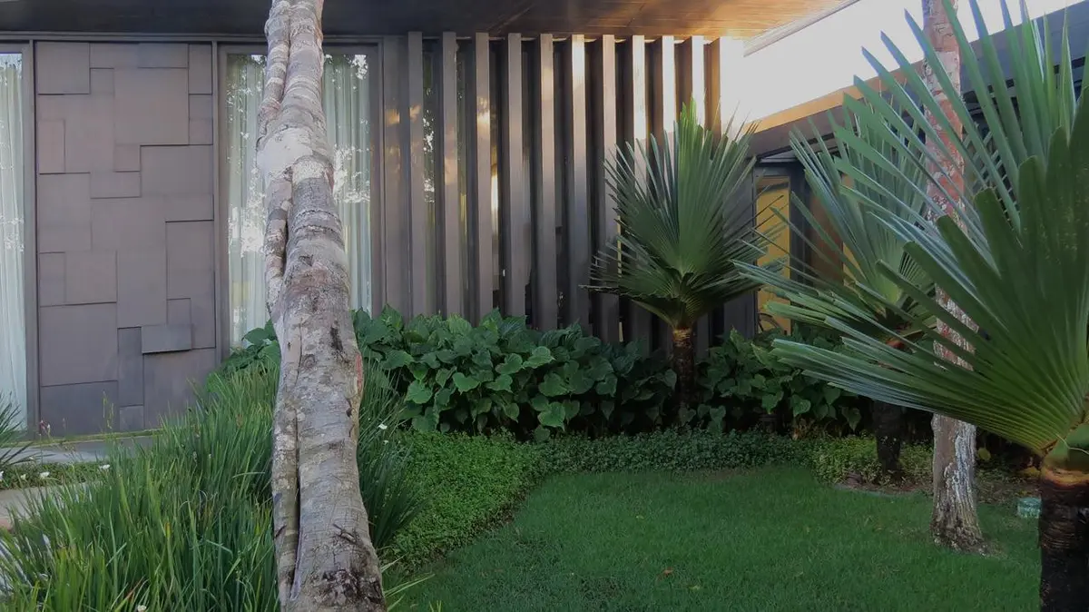 Patio con pergola de madera, plantas tropicales y cesped — proyecto Trancoso II, por Gil Fialho