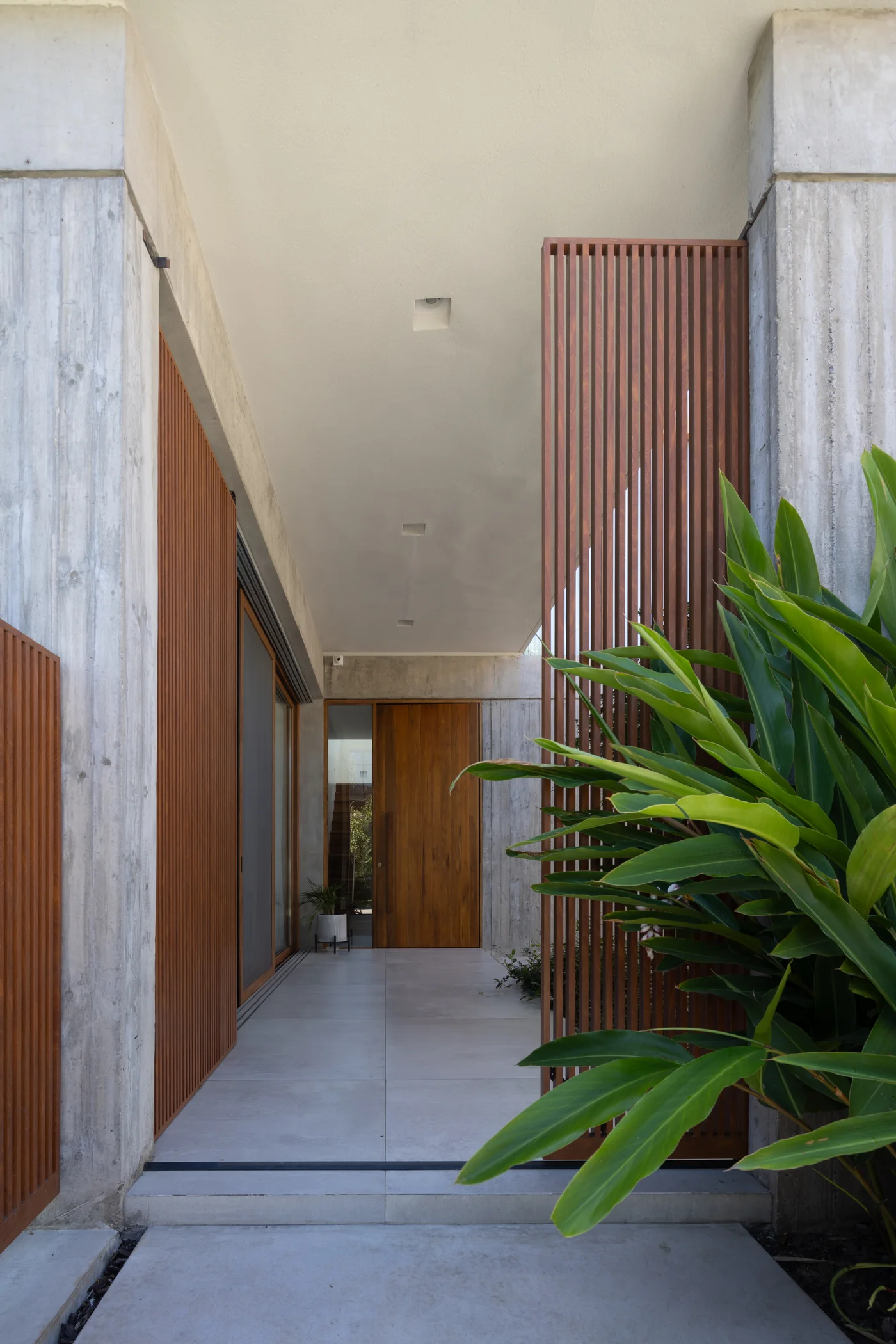 Fachada moderna con hormigón crudo, madera y vegetación exuberante