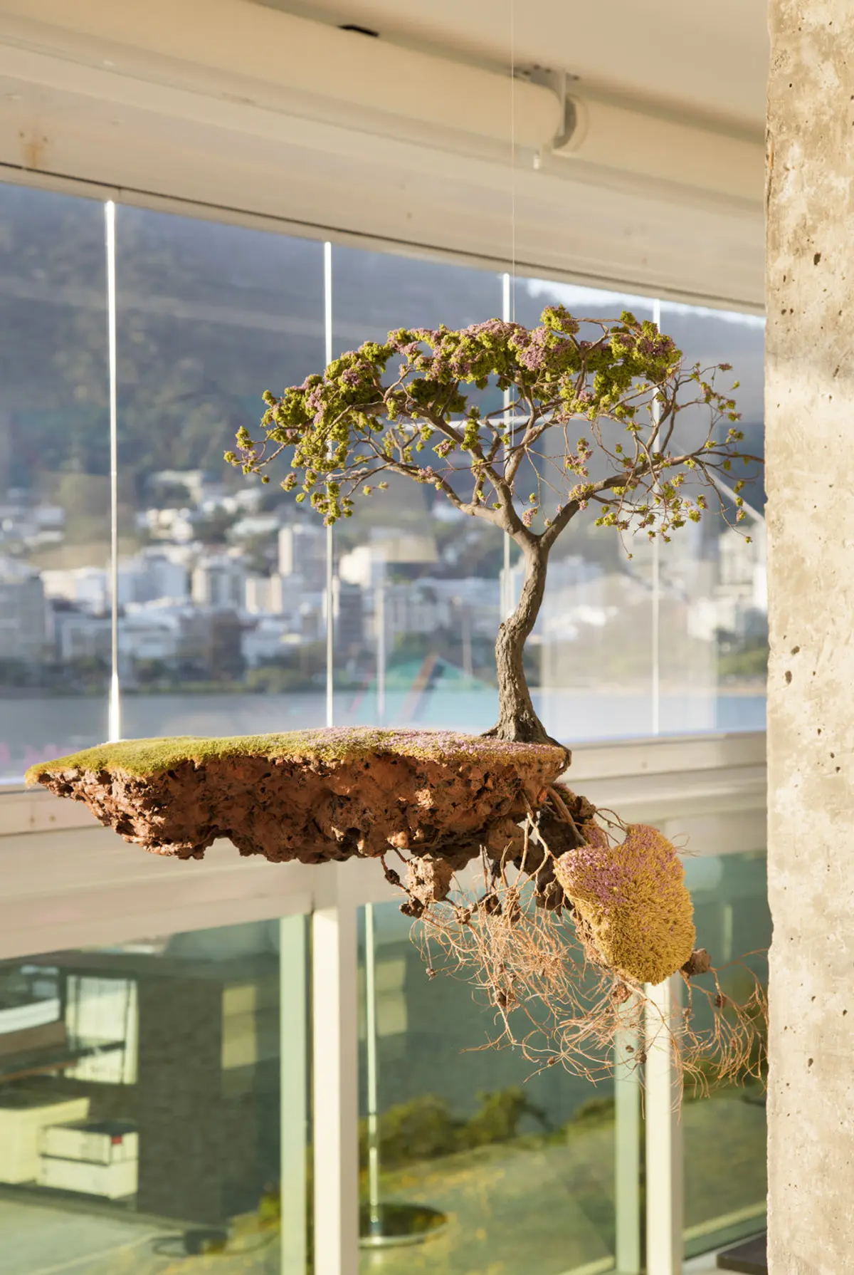 Bonsái suspendido en terraza con vista panorámica urbana — proyecto RM House, por Studio Ro-ca